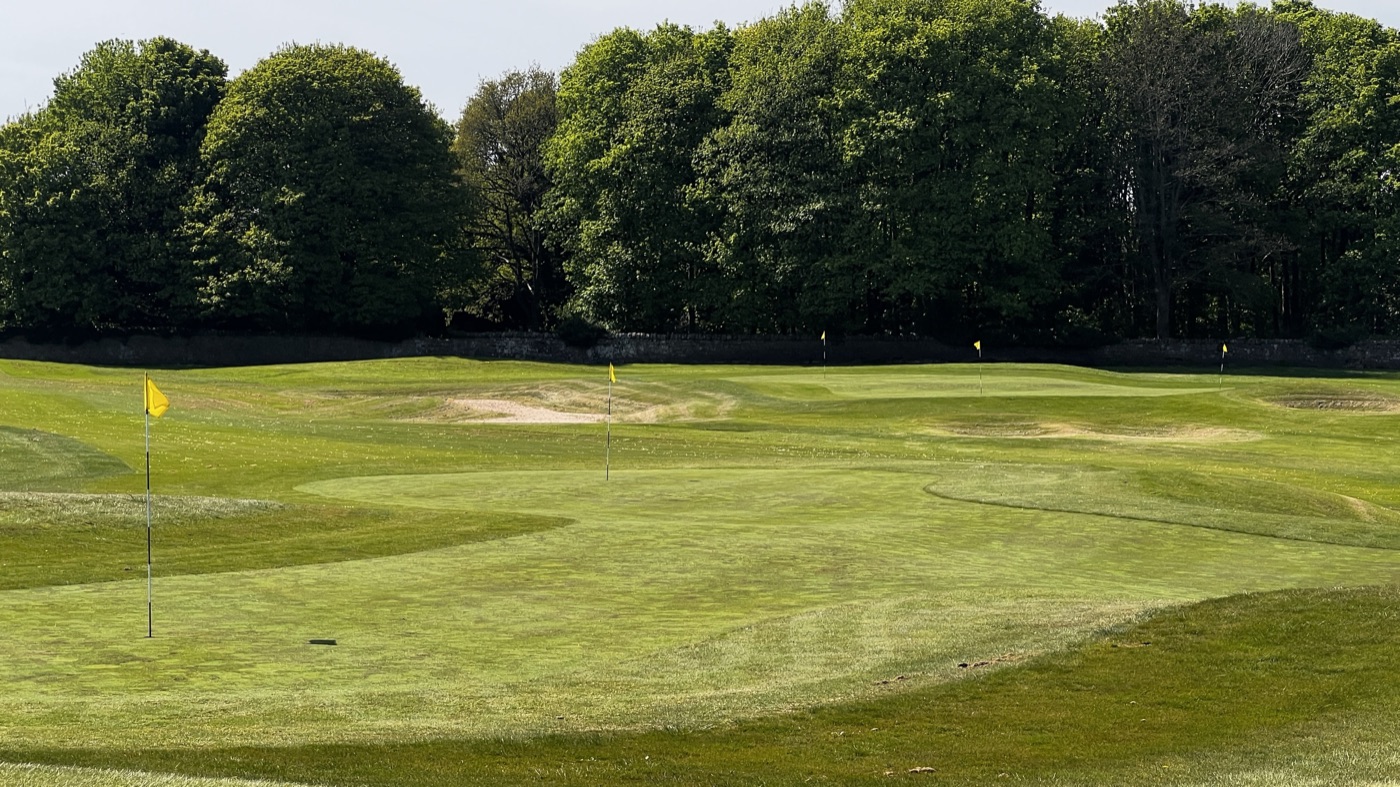 Short game area