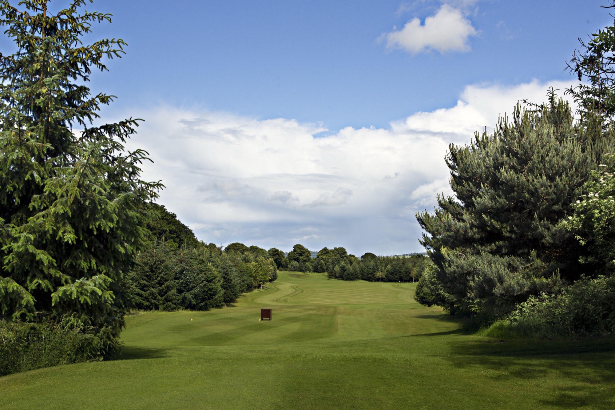 Tree-lined fairway from the 7th tee at Kings Acre